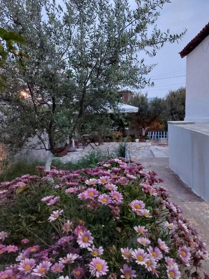 Vila Rafael Ksamil Exteriör bild